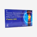 Flamic-GM_1 Flamic GM